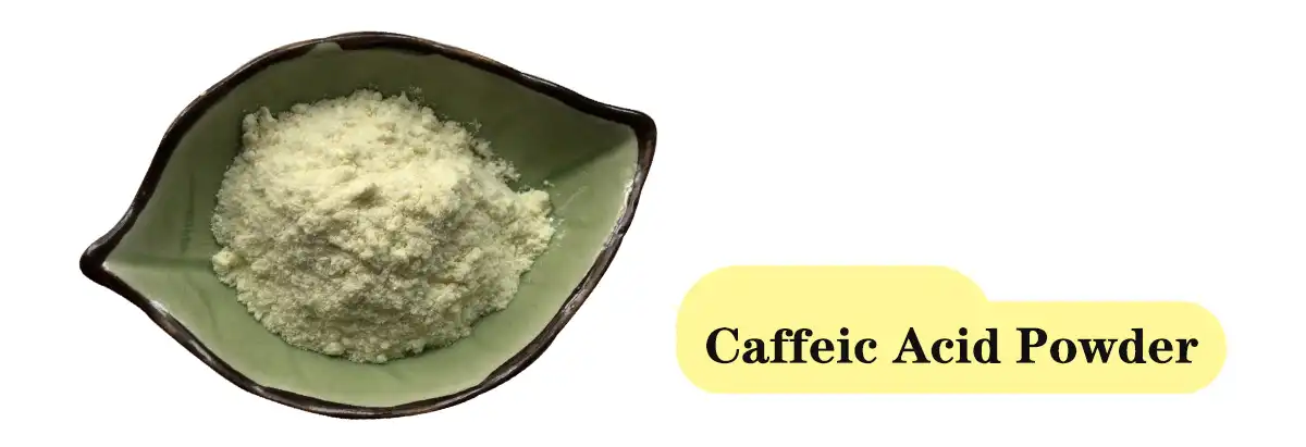 Caffeic Acid Powder Saler.jpg